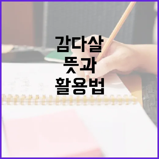 감다살의 뜻과 활용법을 알아보는 방법 - 요약