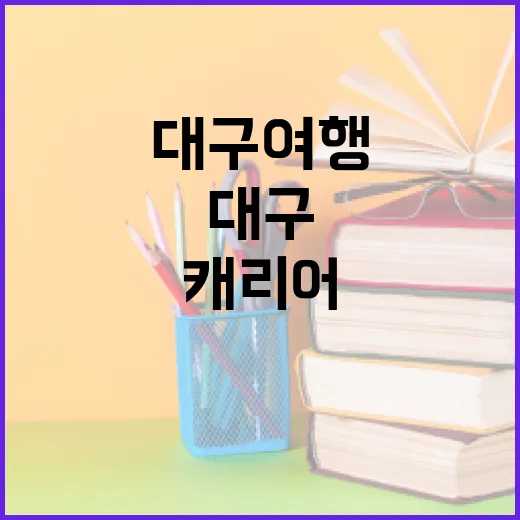 대구 여행을 위한 캐리어 선택 방법 - 요약