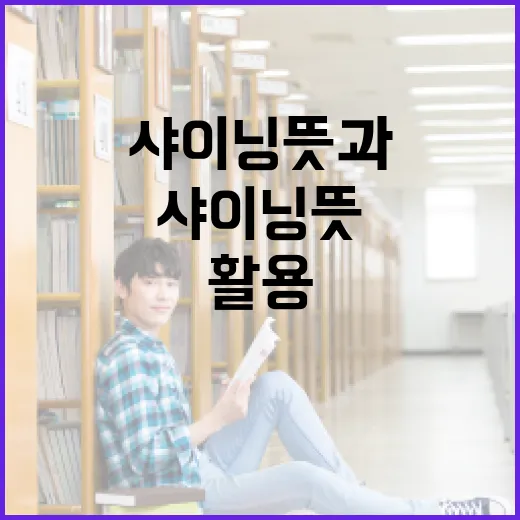 샤이닝 뜻과 이를 활용하는 방법 - 요약