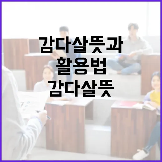 감다살 뜻과 활용법을 알아보는 방법 - 요약