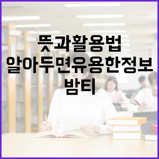 밤티의 뜻과 활용법: 알아두면 유용한 정보 - 요약