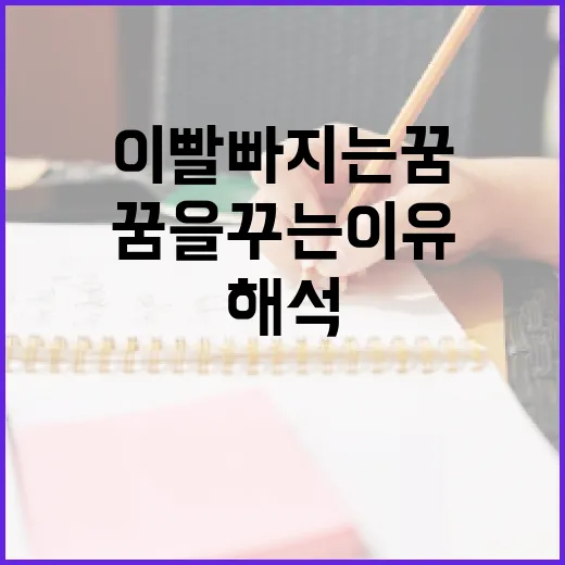 이빨 빠지는 꿈을 꾸는 이유와 해석하는 방법 - 요약