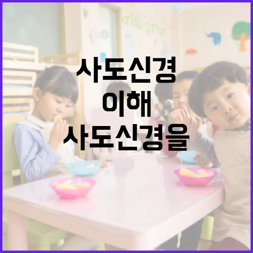 사도신경을 이해하는 방법 - 요약