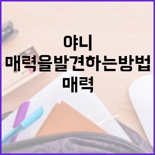 이재훈 야니의 매력을 발견하는 방법 - 요약