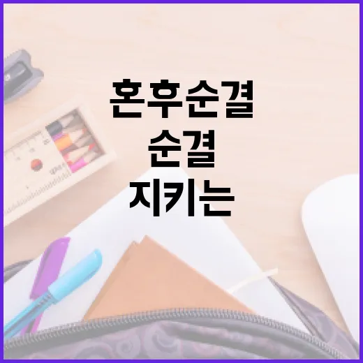 혼후순결의 의미와 이를 지키는 방법 - 요약