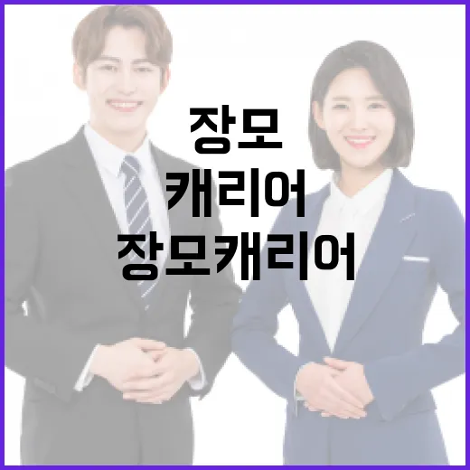 장모 캐리어 선택과 사용 방법 - 요약