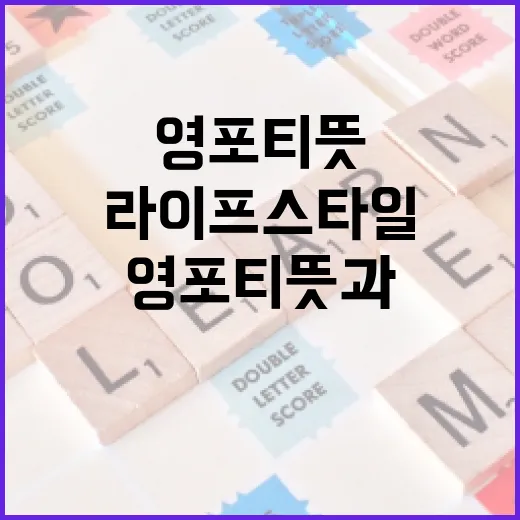 영포티 뜻과 그들의 라이프스타일 이해하기 - 요약