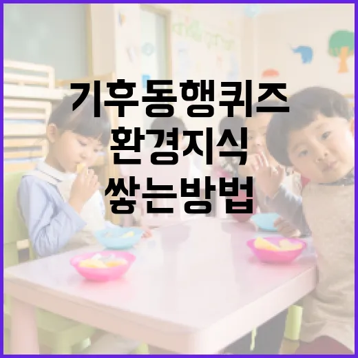 기후동행퀴즈로 환경 지식을 쌓는 방법 - 요약