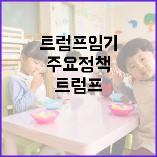 트럼프 임기를 이해하는 방법: 주요 정책과 영향 - 요약