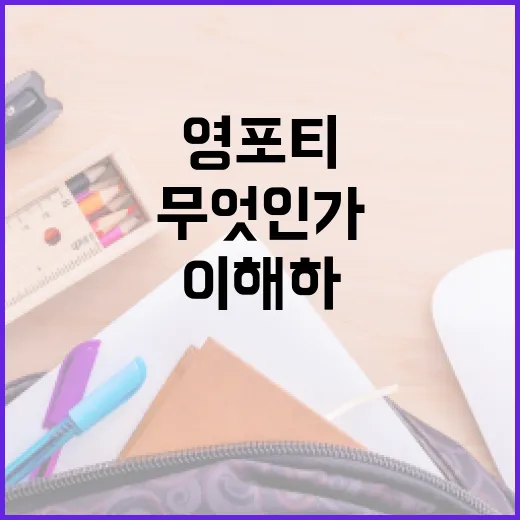 영포티란 무엇인가? 영포티를 이해하는 방법 - 요약