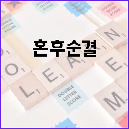 혼후순결의 뜻과 그 의미를 이해하는 방법 - 요약