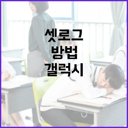 셋로그 갤럭시를 활용하여 데이터 분석을 시작하는 방법 - 요약