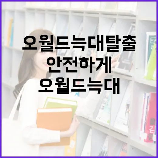 오월드 늑대 탈출을 안전하게 대비하는 방법 - 요약