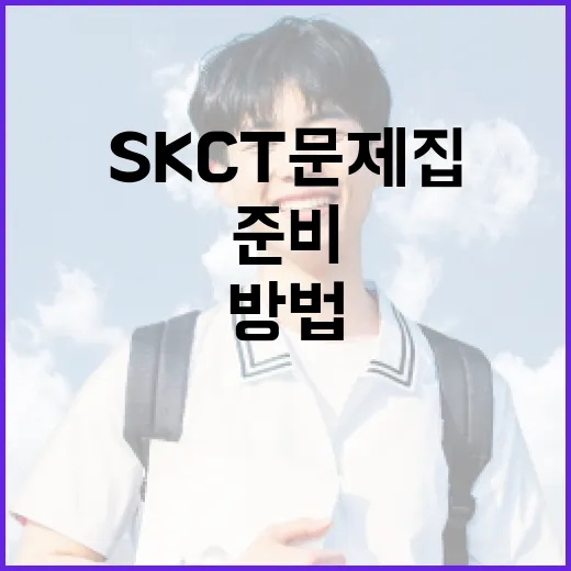 SKCT 문제집 활용하여 효과적으로 준비하는 방법 - 요약