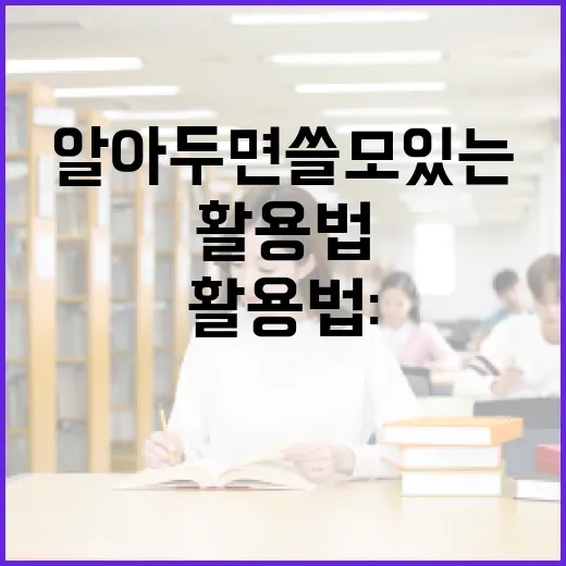 우베의 뜻과 활용법: 알아두면 쓸모 있는 정보 - 요약