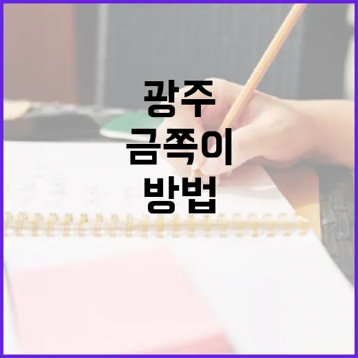 금쪽이를 광주에서 찾는 방법 - 요약