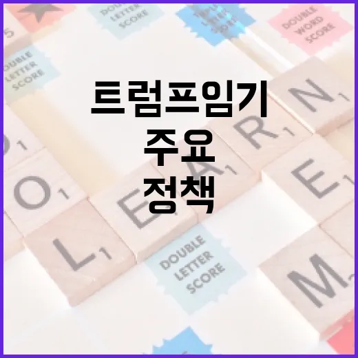 트럼프 임기를 이해하는 방법: 주요 사건과 정책들 - 요약