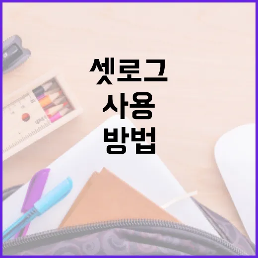 셋로그를 효과적으로 사용하는 방법 - 요약