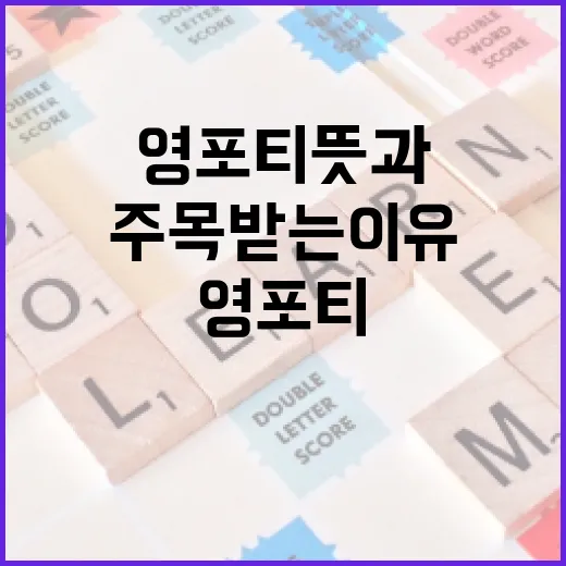 영포티 뜻과 그들이 주목받는 이유 알아보기 - 요약
