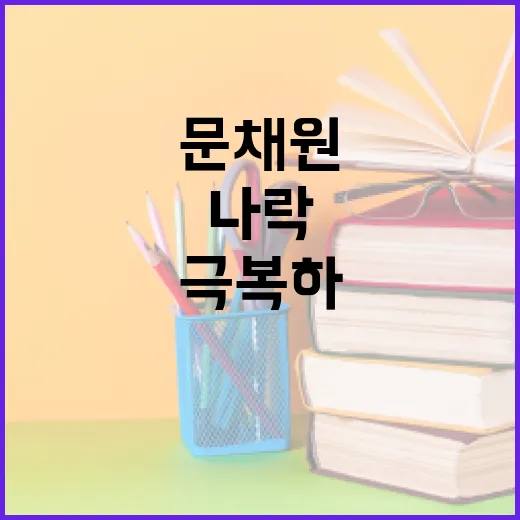문채원의 나락을 이해하고 극복하는 방법 - 요약