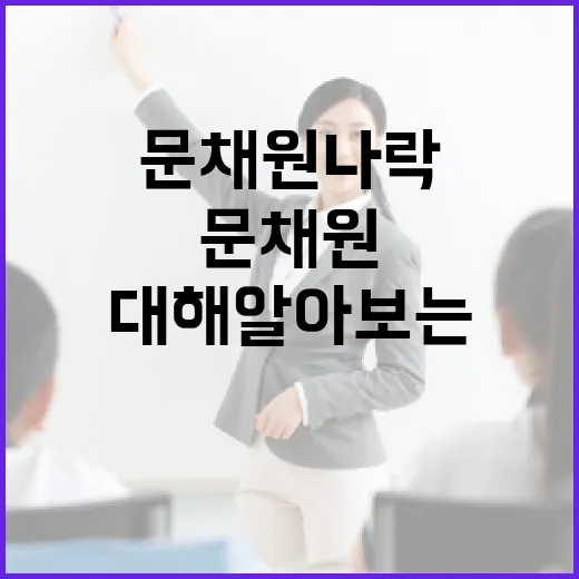 문채원 나락에 대해 알아보는 방법