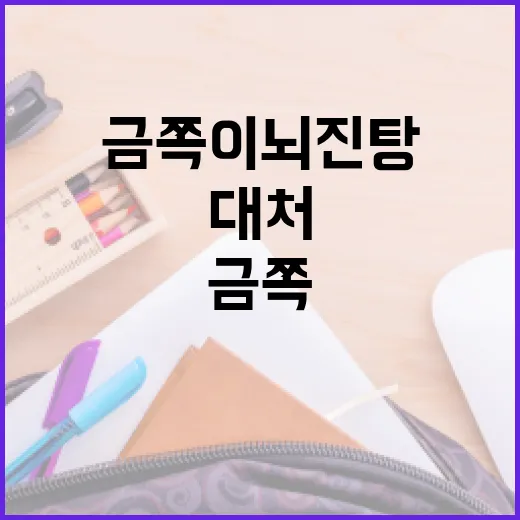 금쪽이 뇌진탕 시 대처하는 방법 - 요약