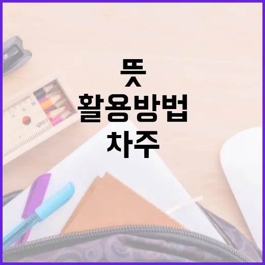 차주 뜻과 활용 방법 - 요약