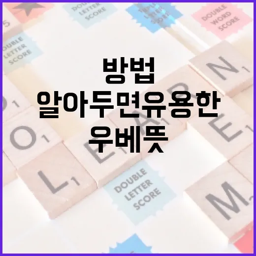 우베 뜻과 활용 방법: 알아두면 유용한 지식 - 요약