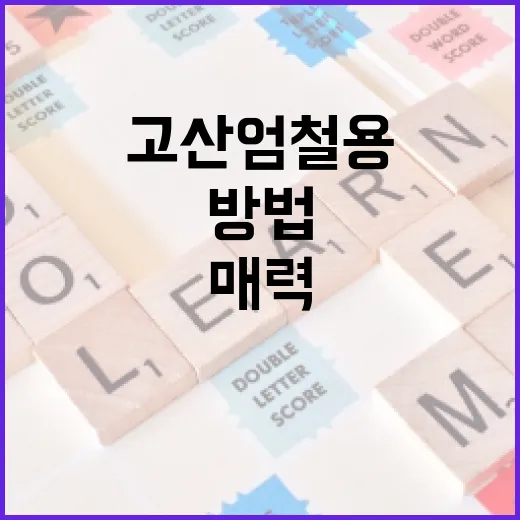 고산엄철용의 매력을 알아보는 방법 - 요약