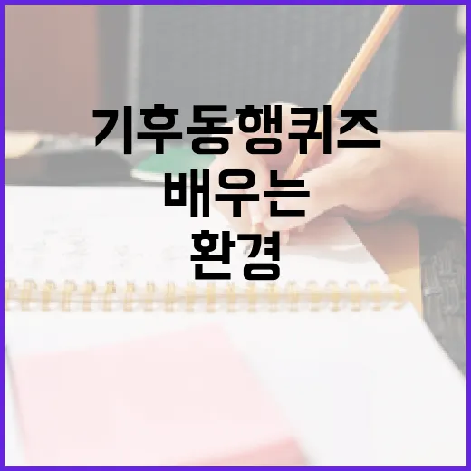 기후동행퀴즈를 통해 환경에 대해 배우는 방법 - 요약
