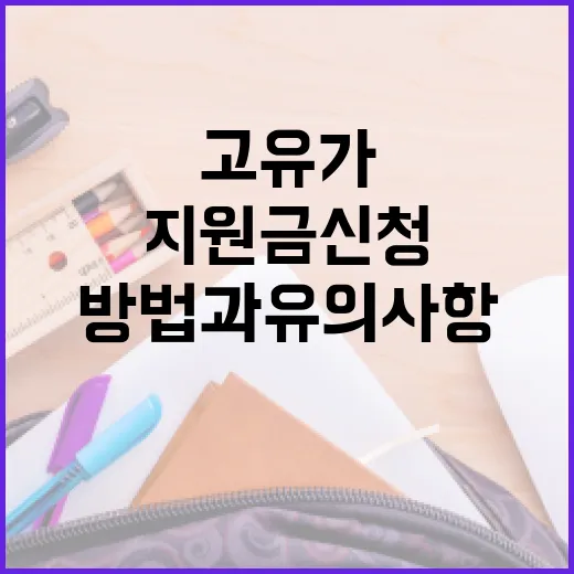 고유가지원금 신청하는 방법과 유의사항 - 요약