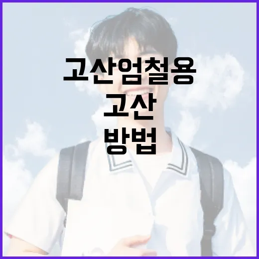 고산엄철용을 위한 준비 방법 - 요약