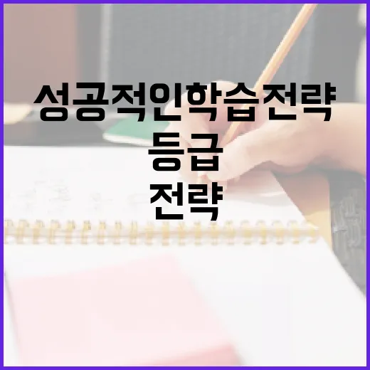 5등급 비율을 높이는 방법: 성공적인 학습 전략 - 요약