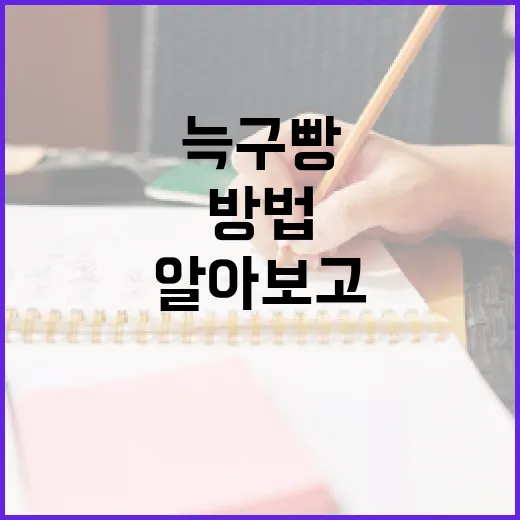 늑구빵의 매력을 알아보고 만드는 방법 - 요약