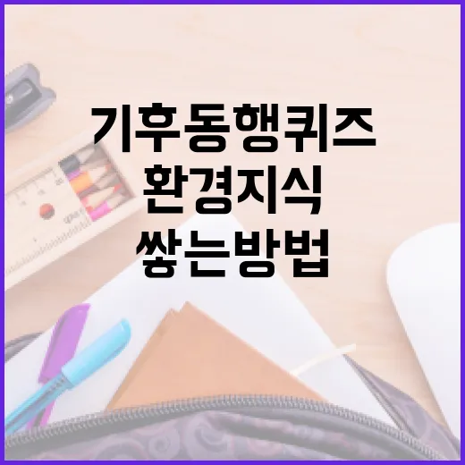 기후동행퀴즈로 환경 지식을 쌓는 방법 - 요약
