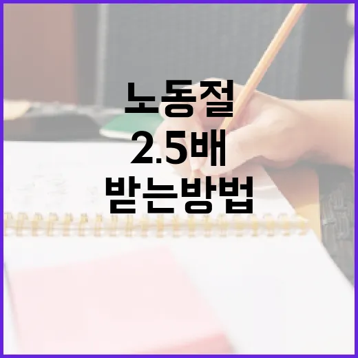 노동절에 2.5배 대우받는 방법 - 요약