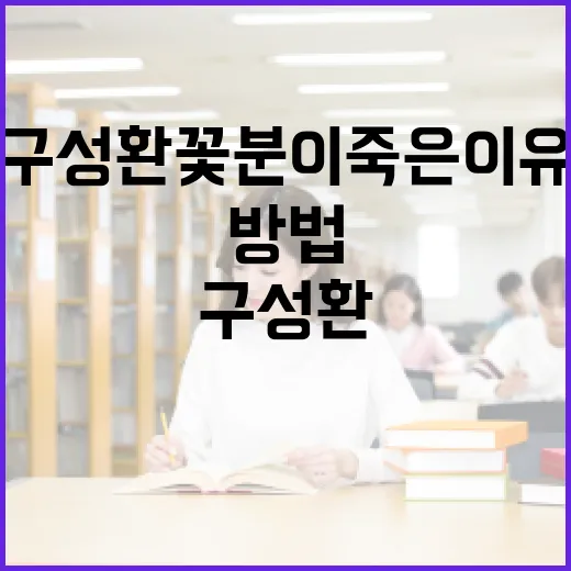 구성환 꽃분이 죽은 이유를 이해하는 방법 - 요약