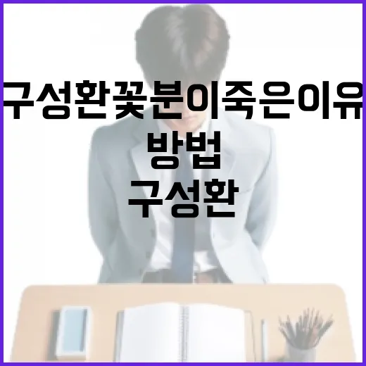 구성환 꽃분이 죽은 이유를 이해하는 방법 - 요약