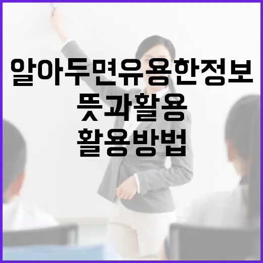 나포의 뜻과 활용 방법: 알아두면 유용한 정보 - 요약