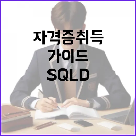 SQLD 자격증 취득을 위한 단계별 가이드 - 요약
