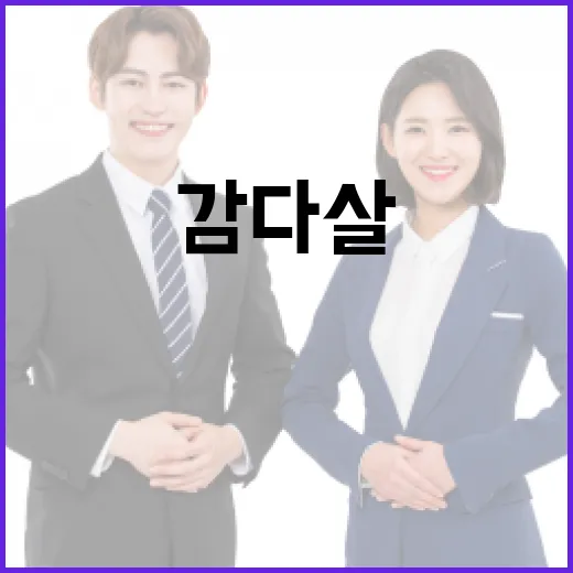 감다살 뜻과 활용법, 일상에서 이렇게 활용하세요 - 요약