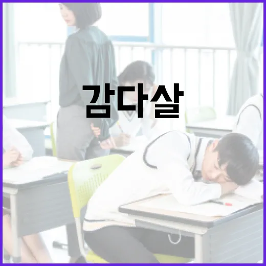 감다살의 뜻을 이해하고 활용하는 방법 - 요약