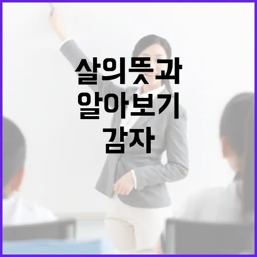 감다살의 뜻과 활용법 알아보기 - 요약