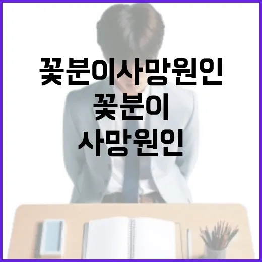 꽃분이 사망 원인에 대해 알아보는 방법 - 요약