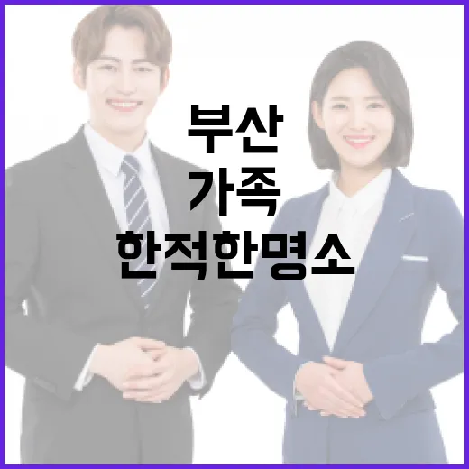 부산에서 가족과 함께 한적한 명소 4곳을 즐기는 방법 - 요약