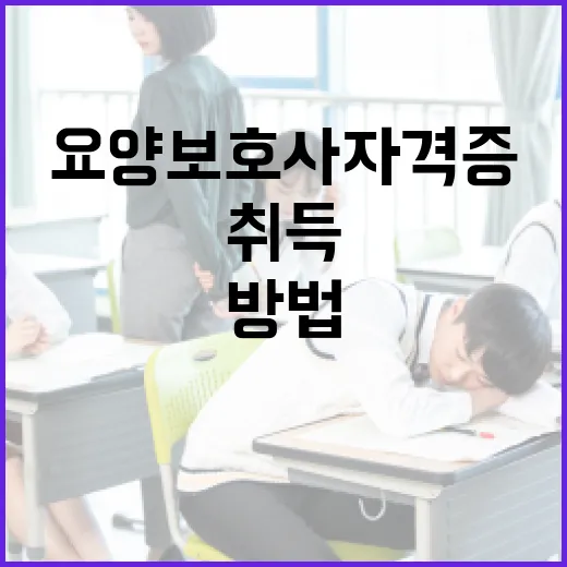 요양보호사 자격증을 취득하는 방법 - 요약