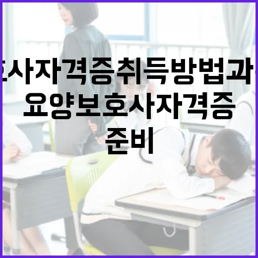 요양보호사 자격증 취득 방법과 준비 전략 - 요약
