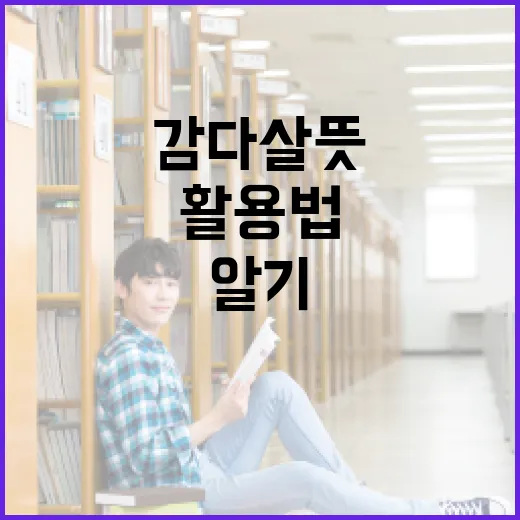 감다살 뜻과 활용법을 알기 쉽게 설명합니다 - 요약