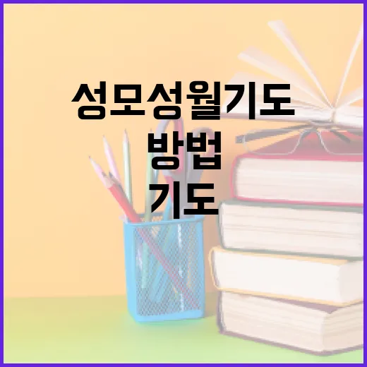 성모성월기도를 효과적으로 하는 방법 - 요약