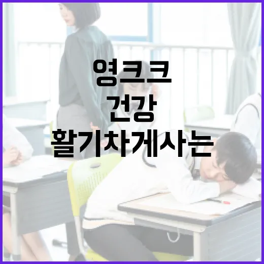 영크크를 통해 건강하고 활기차게 사는 방법 - 요약